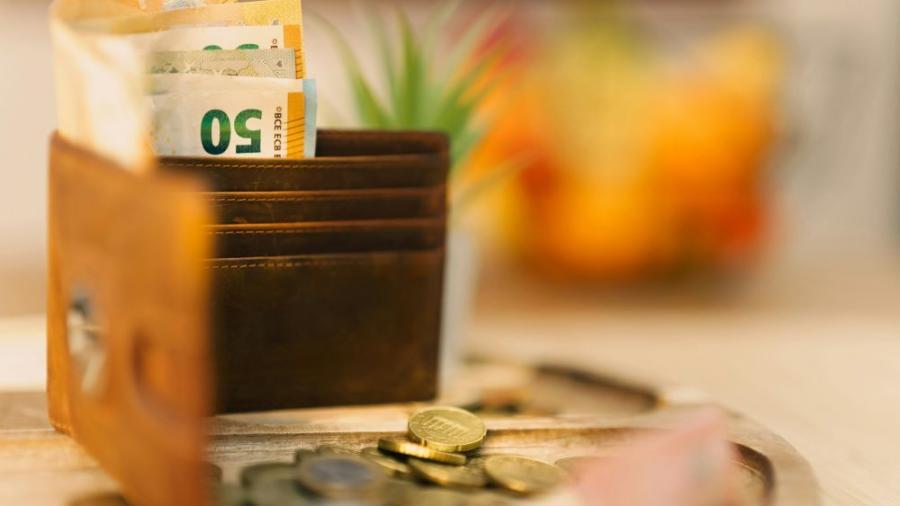 Ce este pensia privată viageră?